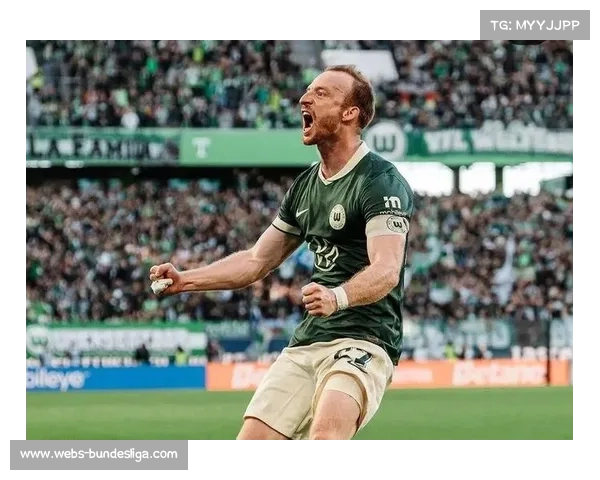 霍芬海姆3-2逆转沃尔夫斯堡，客场全取三分